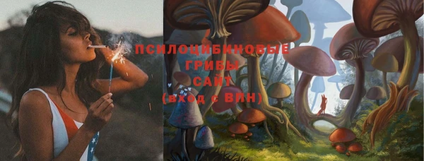 герыч Россошь