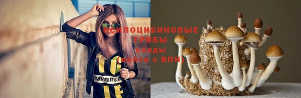 герыч Россошь