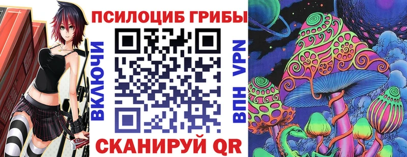 Галлюциногенные грибы Psilocybe  omg ТОР  маркетплейс формула  наркота  Суздаль 